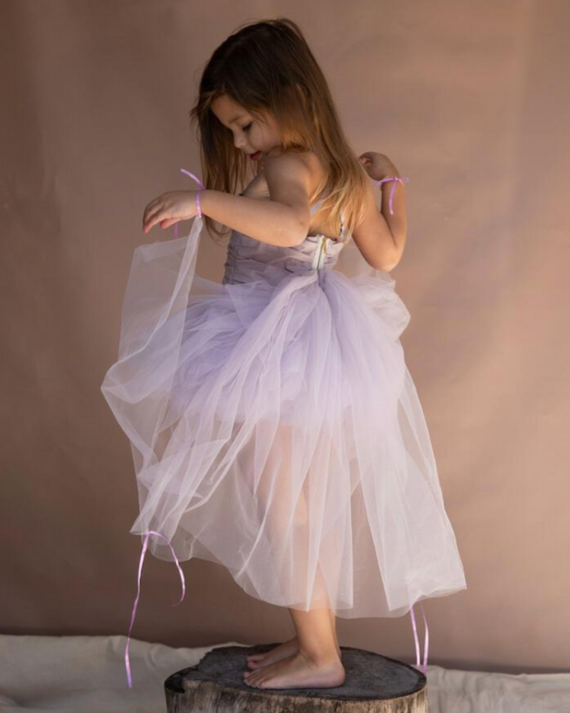 Fairy Dress- Vintage Violet